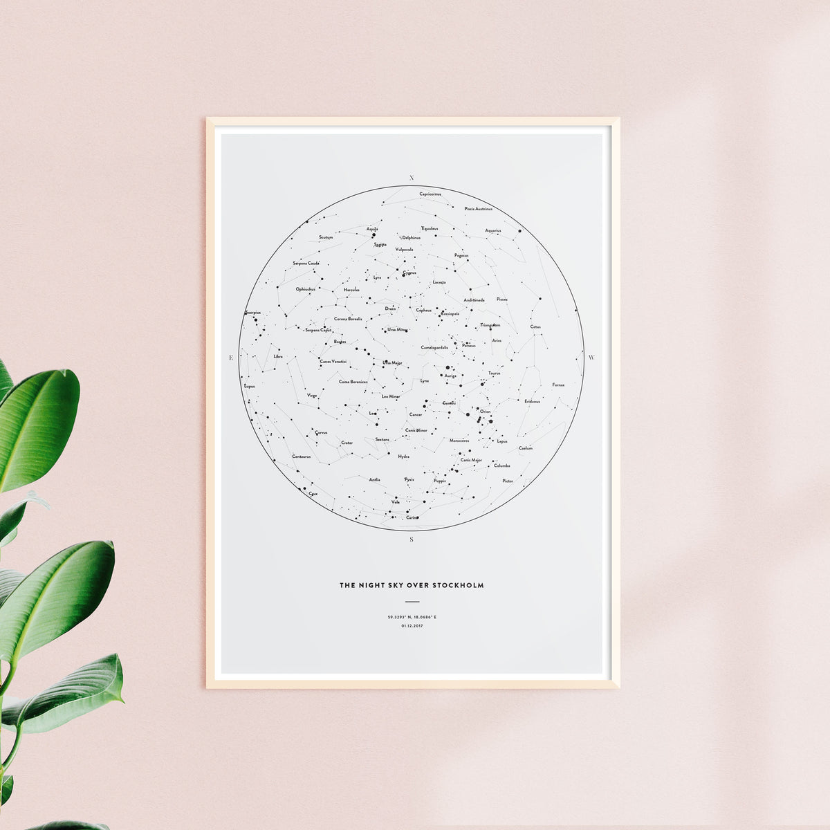Night Sky Star Map, Solid — Made of Sundays