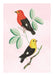 Birds on a Branch, Poster - Made of Sundays