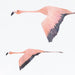 Flamingo Jungle Wall Stickers, wall decals by Made of Sundays