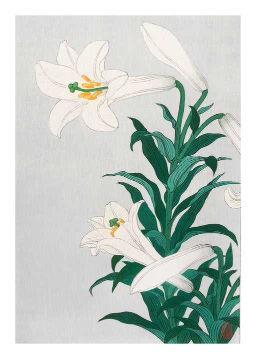 Japanese Lily, Poster - Made of Sundays