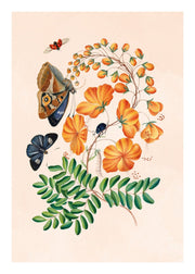 Orange Botanical Flowers, Poster - Made of Sundays
