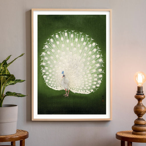 Peacock, Poster - Made of Sundays