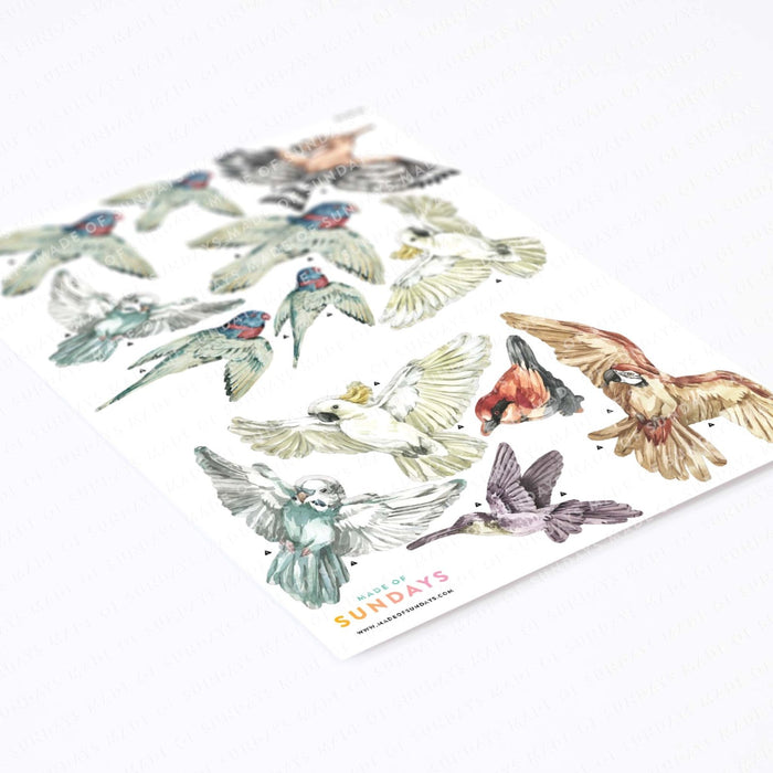 Oiseaux exotiques - Stickers muraux 