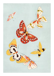 Vintage Colouful Butterflies, Poster - Made of Sundays