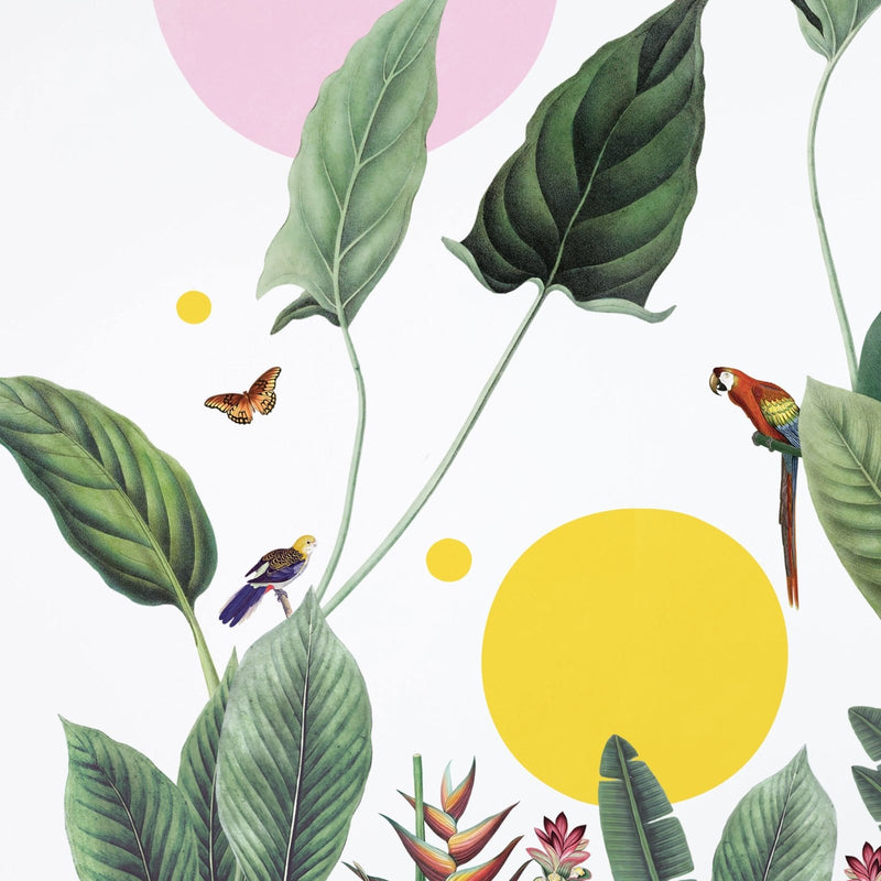 Vintage Tropical Jungle with Shapes, wall decals by Made of Sundays