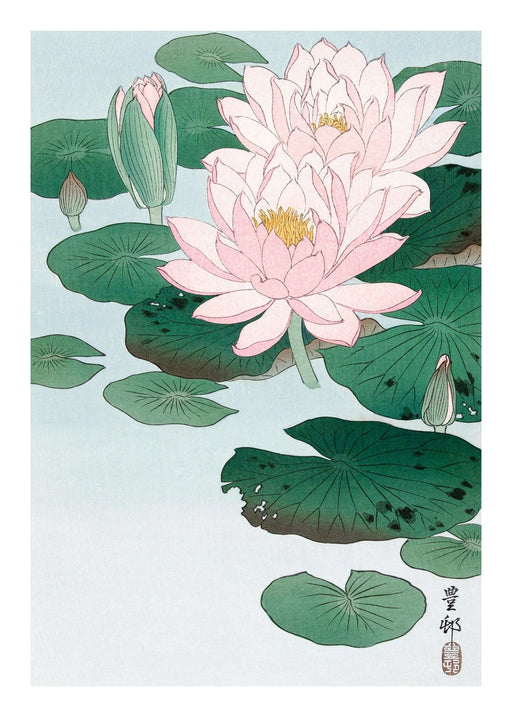 Water Lilies, Poster - Made of Sundays
