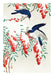 Winter Birds, Poster - Made of Sundays